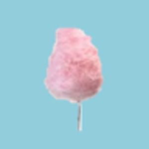 Meet your Posher, Bea